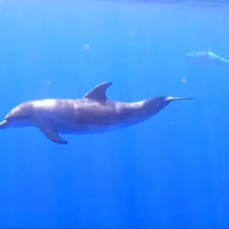 アパート Sunny Ocean View